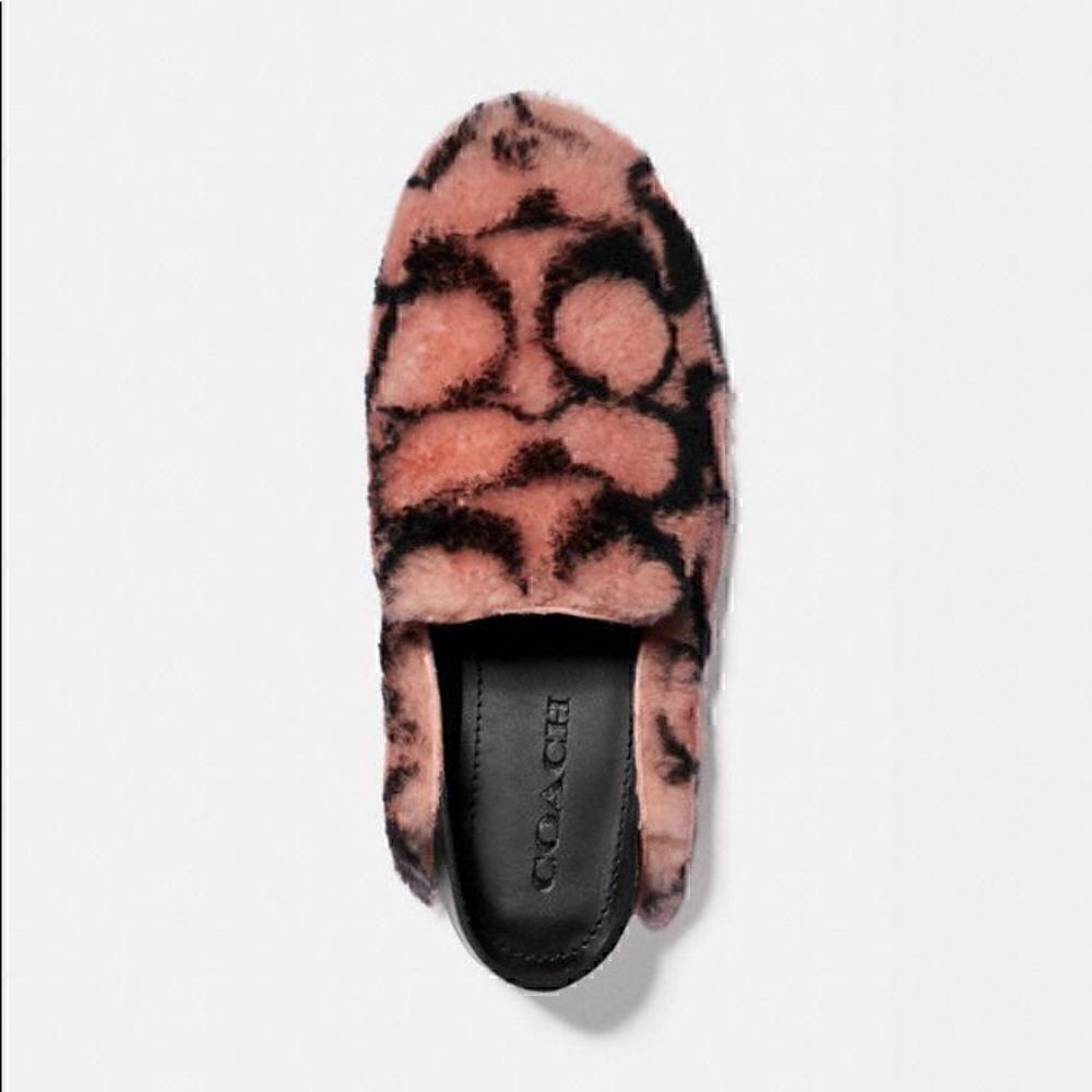 COACH HOLLY Smoking Slipper/Loafer Plush Shearling & Leather Women’s 9 NiB - Picture 3 of 16